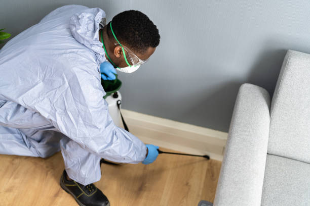 insulation replacement